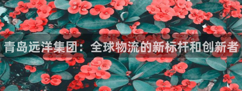 豪门国际是正规软件吗：青岛远洋集团：