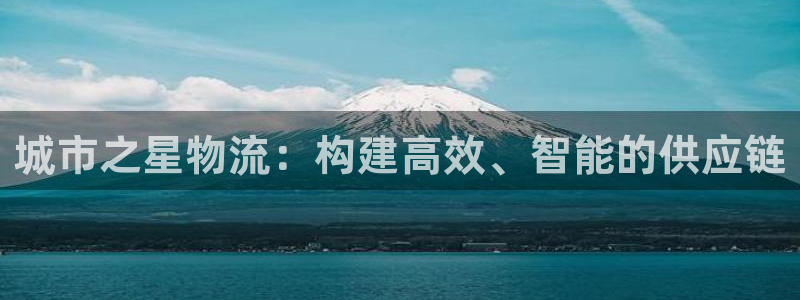 豪门国际登录流程：城市之星物流：构建