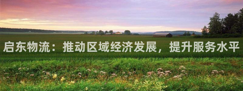 豪门国际下载二维码