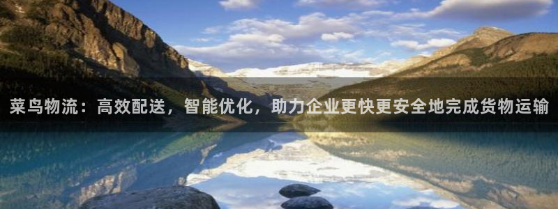 豪门国际登录网：菜鸟物流：高效配送，