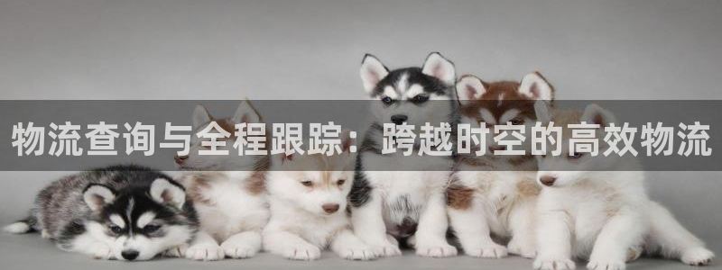 豪门国际违法吗：物流查询与全程跟踪：