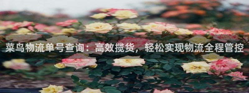 豪门国际软件堵什么反什么