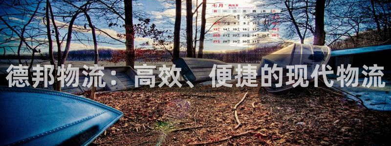 豪门国际官网入口pc28：德邦物流：