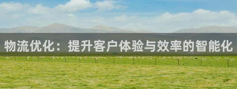 豪门国际预测：物流优化：提升客户体验