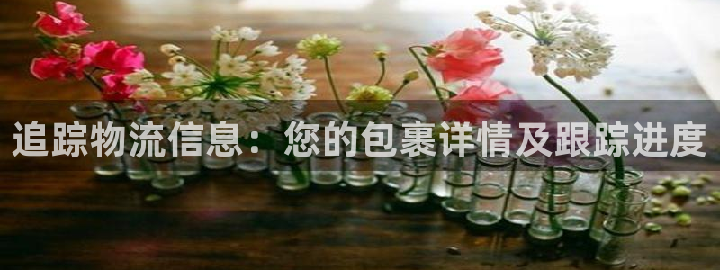 豪门国际麻将胡了