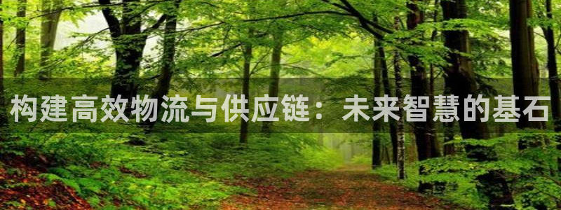 豪门国际模拟器下载：构建高效物流与供