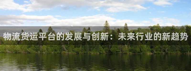 豪门国际充值不到账：物流货运平台的发