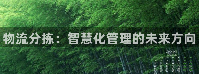 豪门国际官网入口pc29官网版下载：