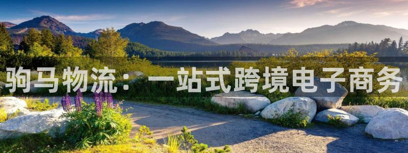 豪门国际官方官网:驹马物流:一站式跨
