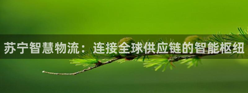 豪门国际充值不到账怎么办:苏宁智慧物