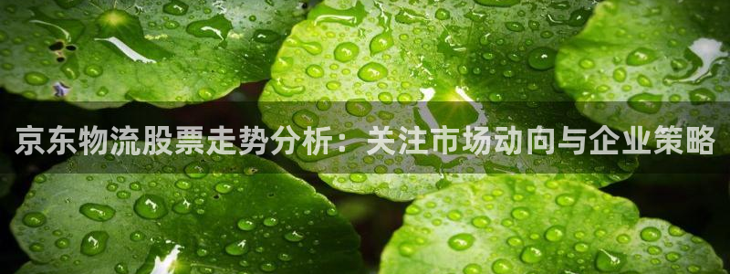 豪门国际链接是什么