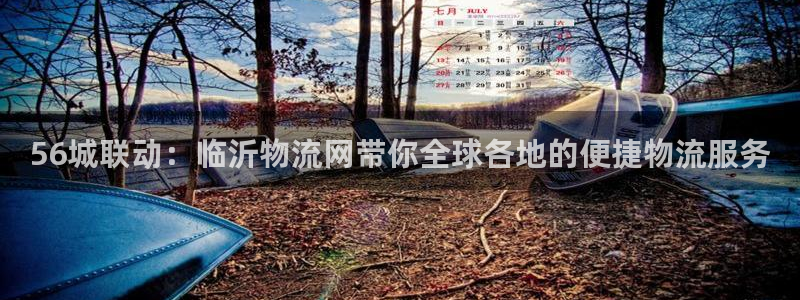 豪门国际取保:56城联动:临沂物流网