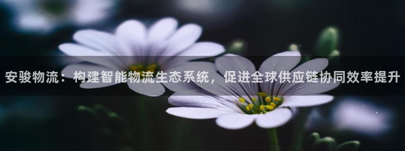 豪门国际注册号:安骏物流:构建智能物