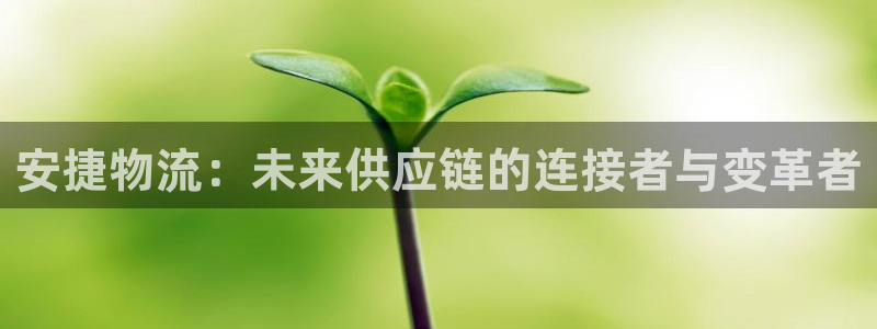 自行车豪门国际是什么意思:安捷物流: