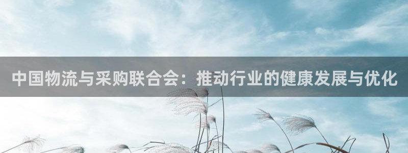 豪门国际注册入口与教程：中国物流与采