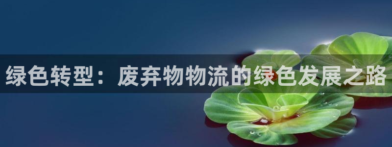 豪门国际能退款吗