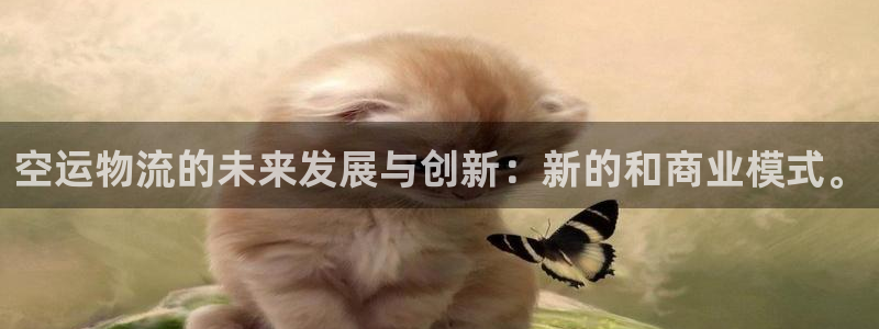 豪门国际官网下载多少：空运物流的未来发展与创新：新的和商业模