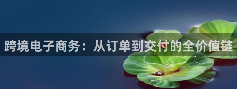 豪门国际防失联网址:跨境电子商务:从