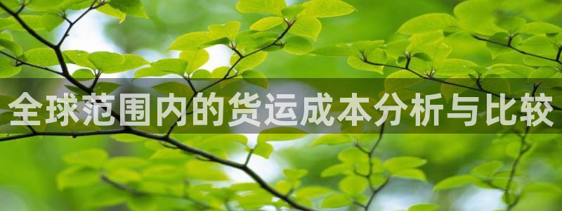 豪门国际官网下载加拿大