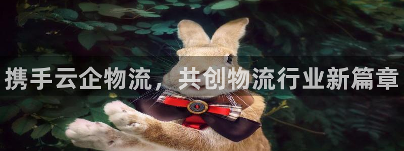 豪门国际口戒指是多大