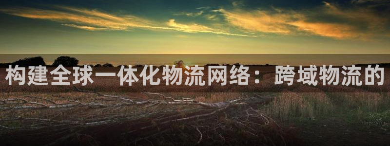豪门国际官方平台
